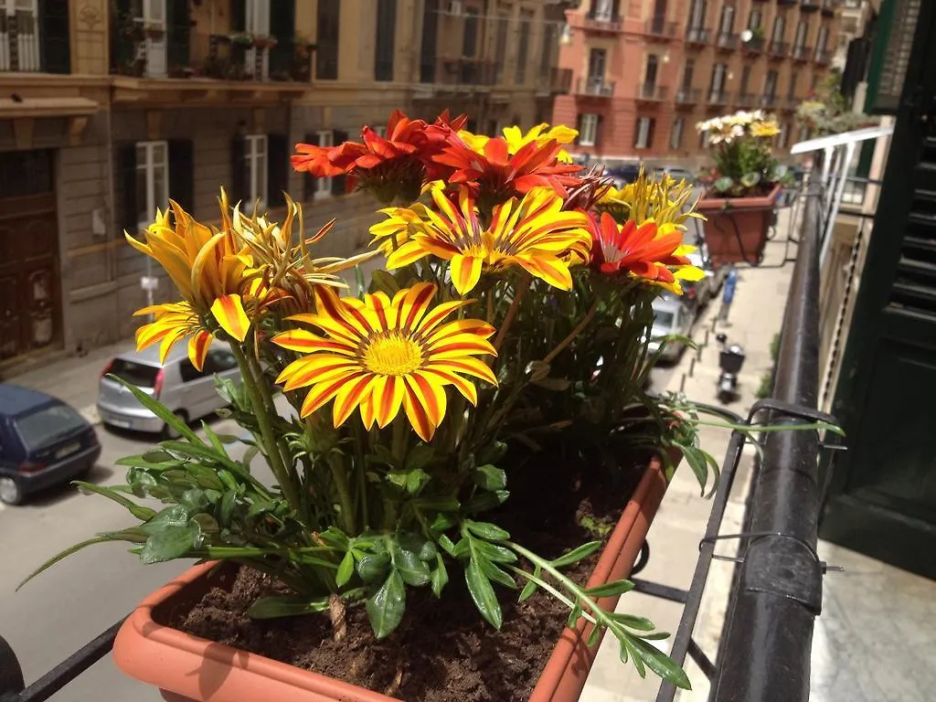 Bed and breakfast Alba Camere Palermo