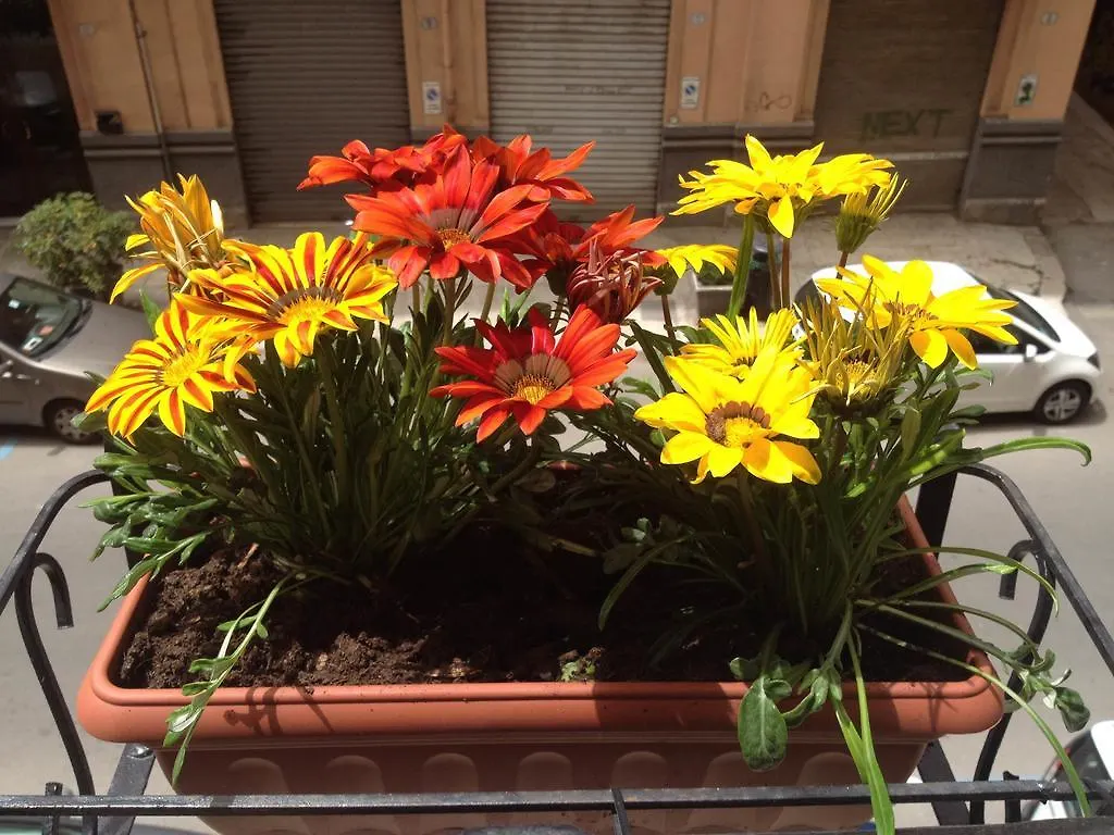 Bed & Breakfast Alba Camere Palermo Italien